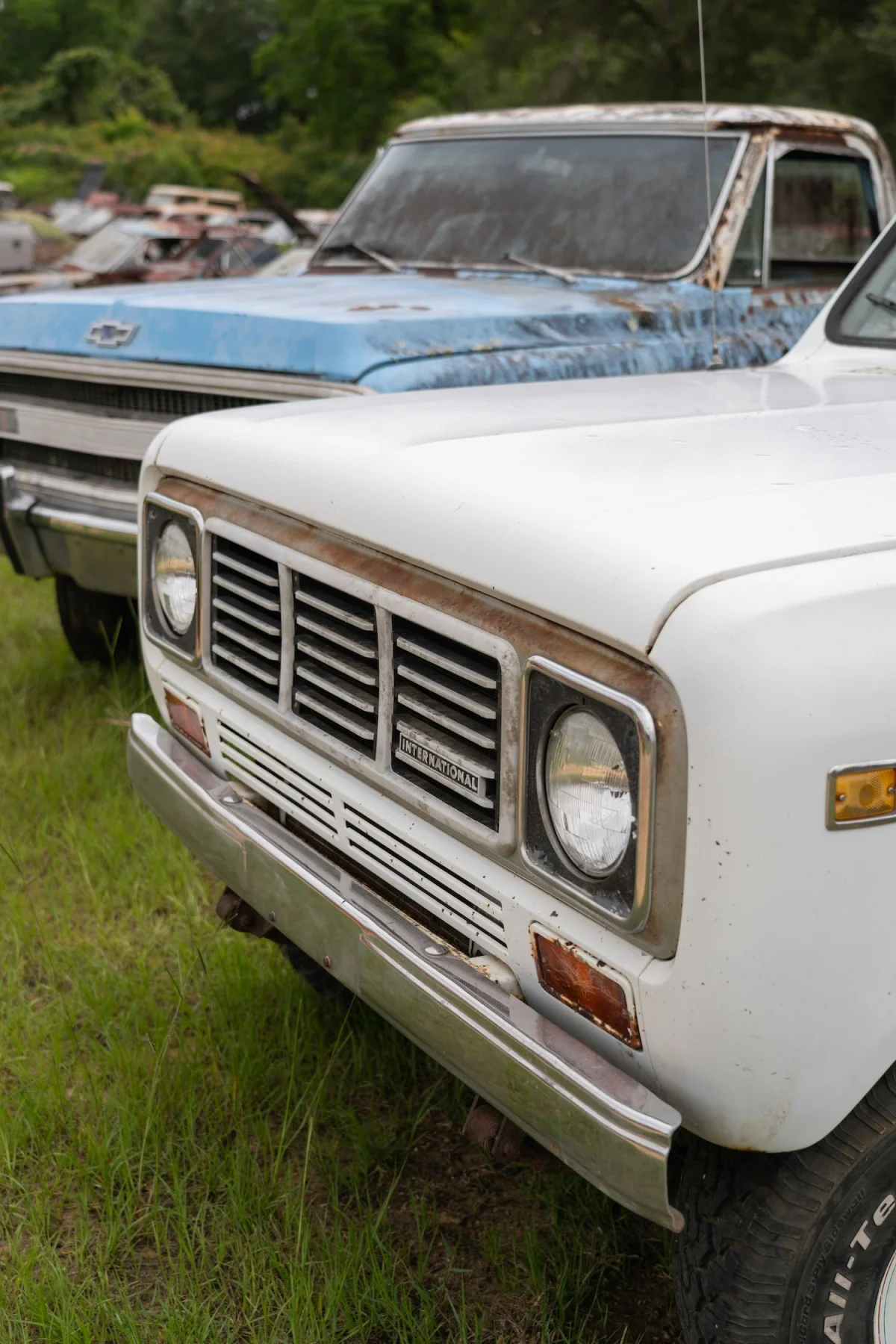 Velocity spare car parts body boneyard