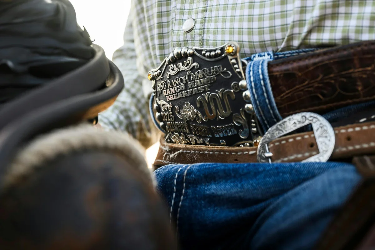 1949 Ford F-1 king ranch belt