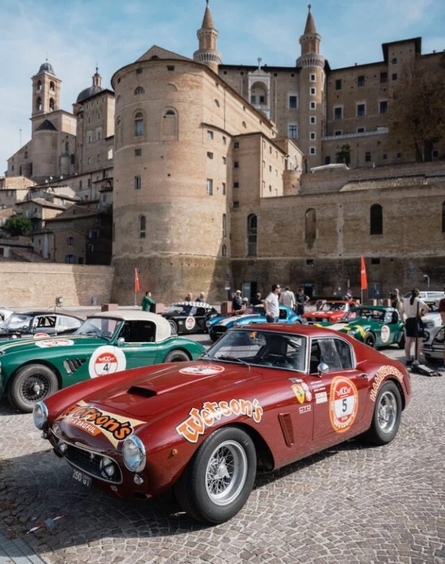 2026 Modena Cento Ore: Triumphs for Cobra, Porsche, and Jaguar in Italian Classic Racing